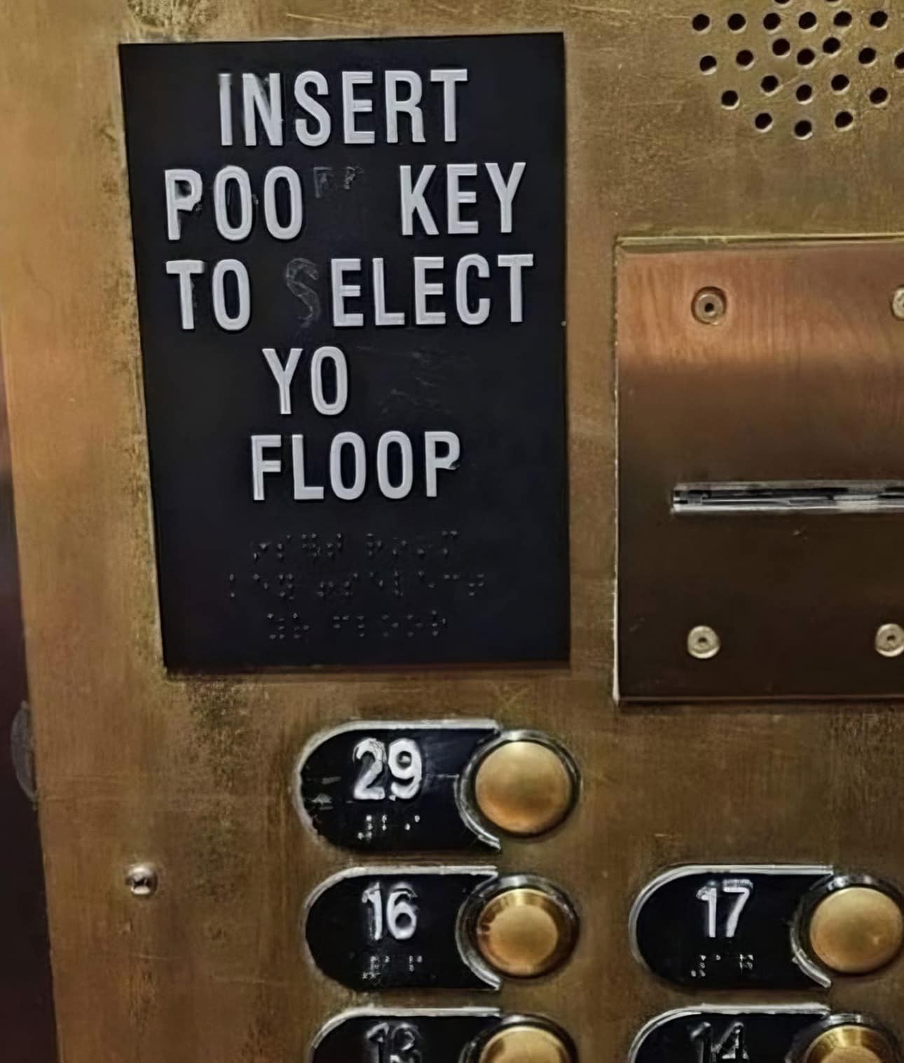 insertpookeytoelect.yofloop.com